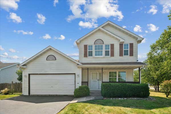 26541 W DEER PATH, CHANNAHON, IL 60410 - Image 1