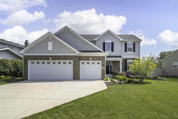 704 LONG RIDGE TRL, MINOOKA, IL 60447 - Image 1