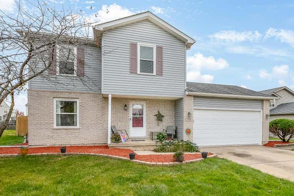 5300 PINE TRAILS CIR, PLAINFIELD, IL 60586 - Image 1