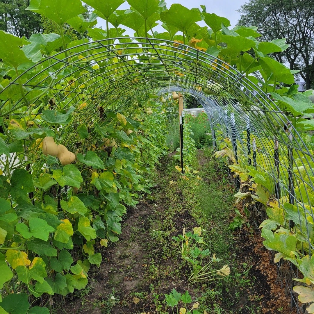 Barrington Hills, Illinois, 60010, United States, 6 Bedrooms Bedrooms, ,5 BathroomsBathrooms,Residential,Active,1987275