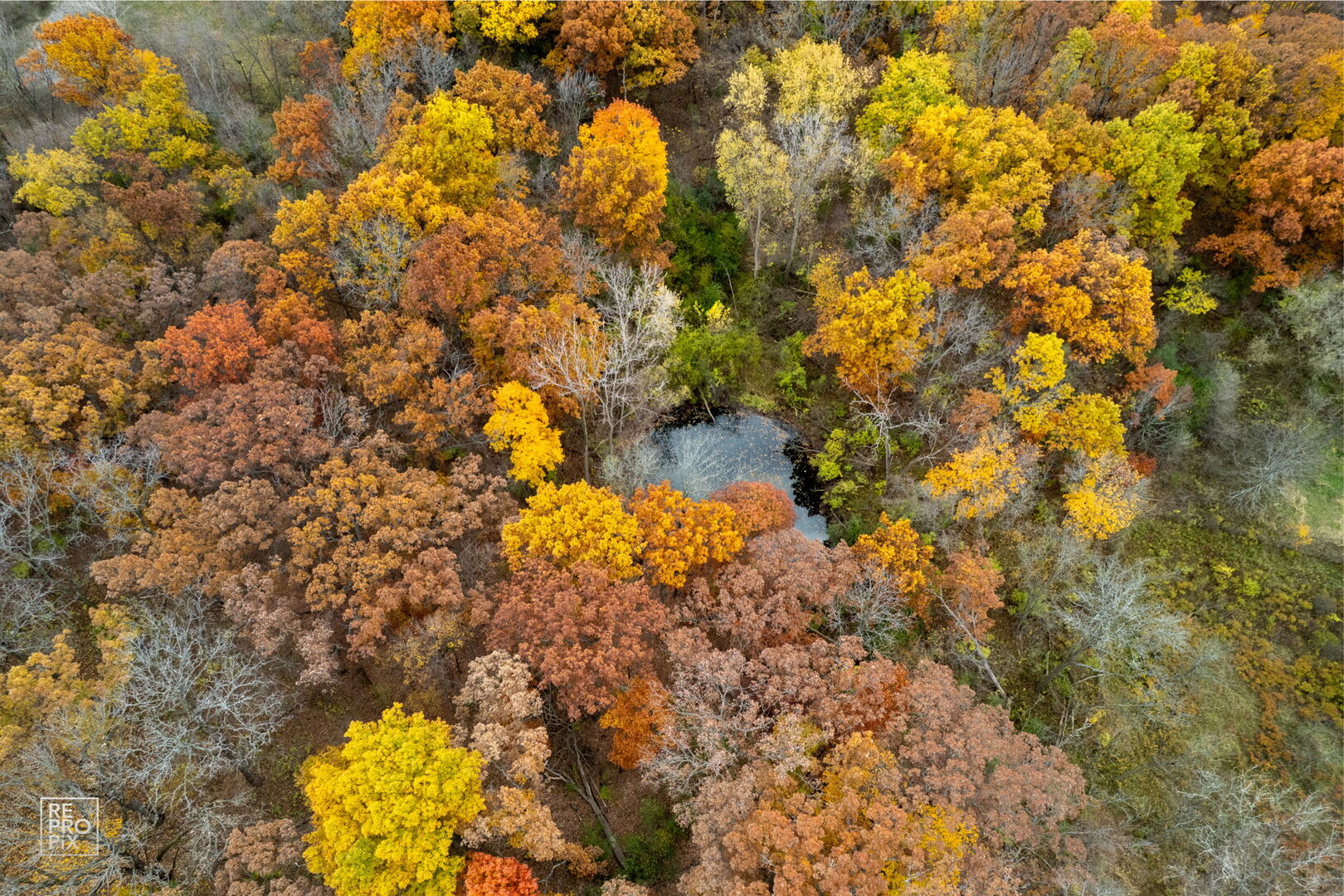 Wadsworth, Illinois, 60083, United States, 5 Bedrooms Bedrooms, ,6 BathroomsBathrooms,Residential,Active,1989775