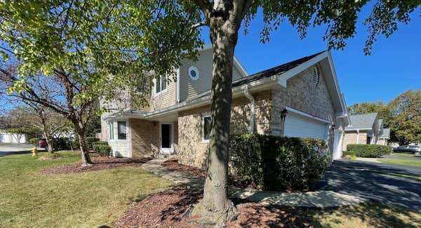 17350 BROOK CROSSING CT, ORLAND PARK, IL 60467 - Image 1