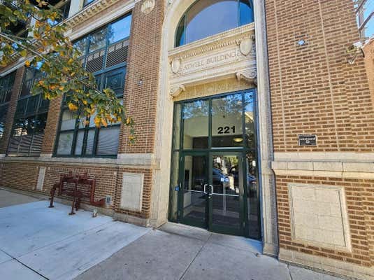 221 E CULLERTON ST APT 401, CHICAGO, IL 60616 - Image 1