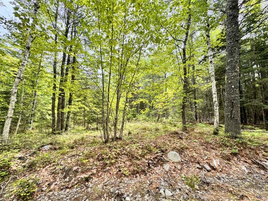 18B BACK PASTURE LN, BLUE HILL, ME 04614 - Image 1