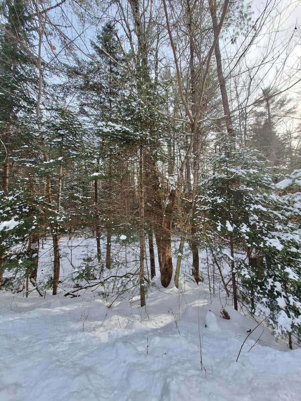 LOT9 QUARTERHORSE DRIVE, BRIDGTON, ME 04009, photo 1 of 2