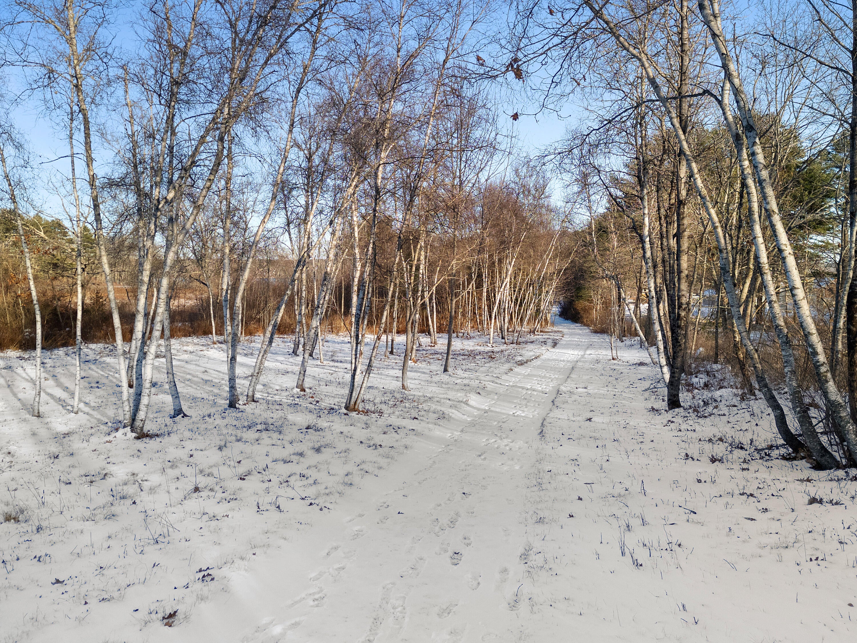 Waldoboro, Maine, 04572, United States, 4 Bedrooms Bedrooms, ,3 BathroomsBathrooms,Residential,Active,2007941