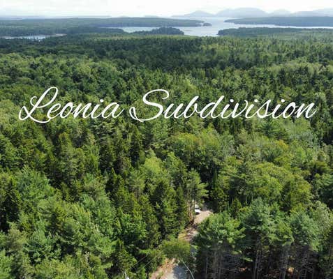 LOT #8 LEONIA ROAD, HANCOCK, ME 04640 - Image 1