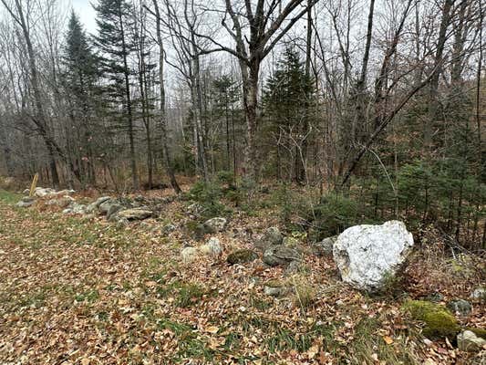 LOT #34 OLD COUNTY ROAD, WOODSTOCK, ME 04219 - Image 1