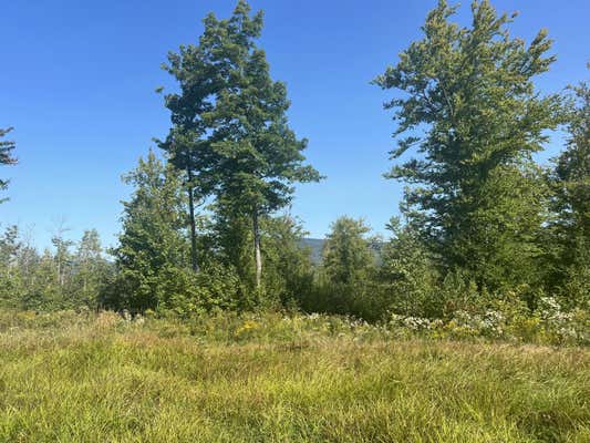 LOT 2B HARMONY ROW, BETHEL, ME 04217 - Image 1