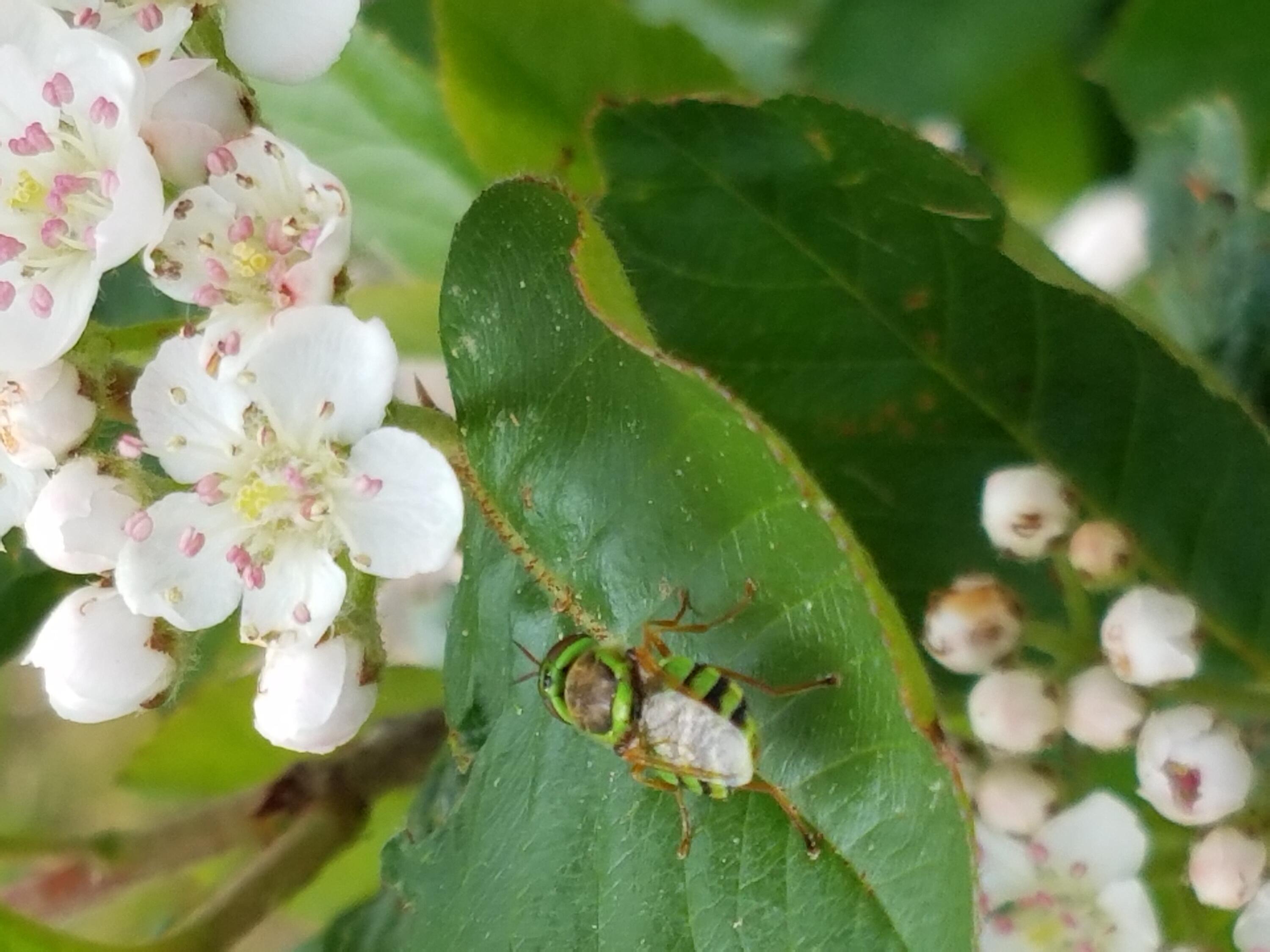 Waldoboro, Maine, 04572, United States, 4 Bedrooms Bedrooms, ,3 BathroomsBathrooms,Residential,Active,2007941