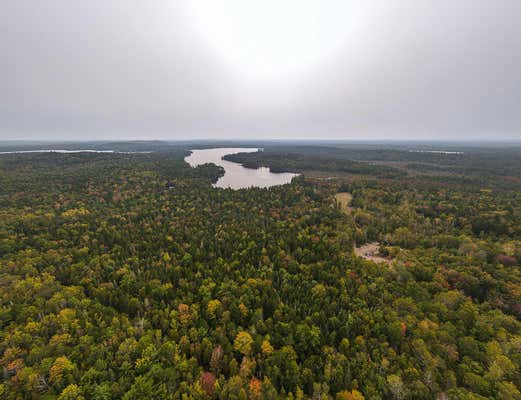 LOT #11-1 CARRY RIDGE ROAD, NORTHFIELD, ME 04686, photo 3 of 10