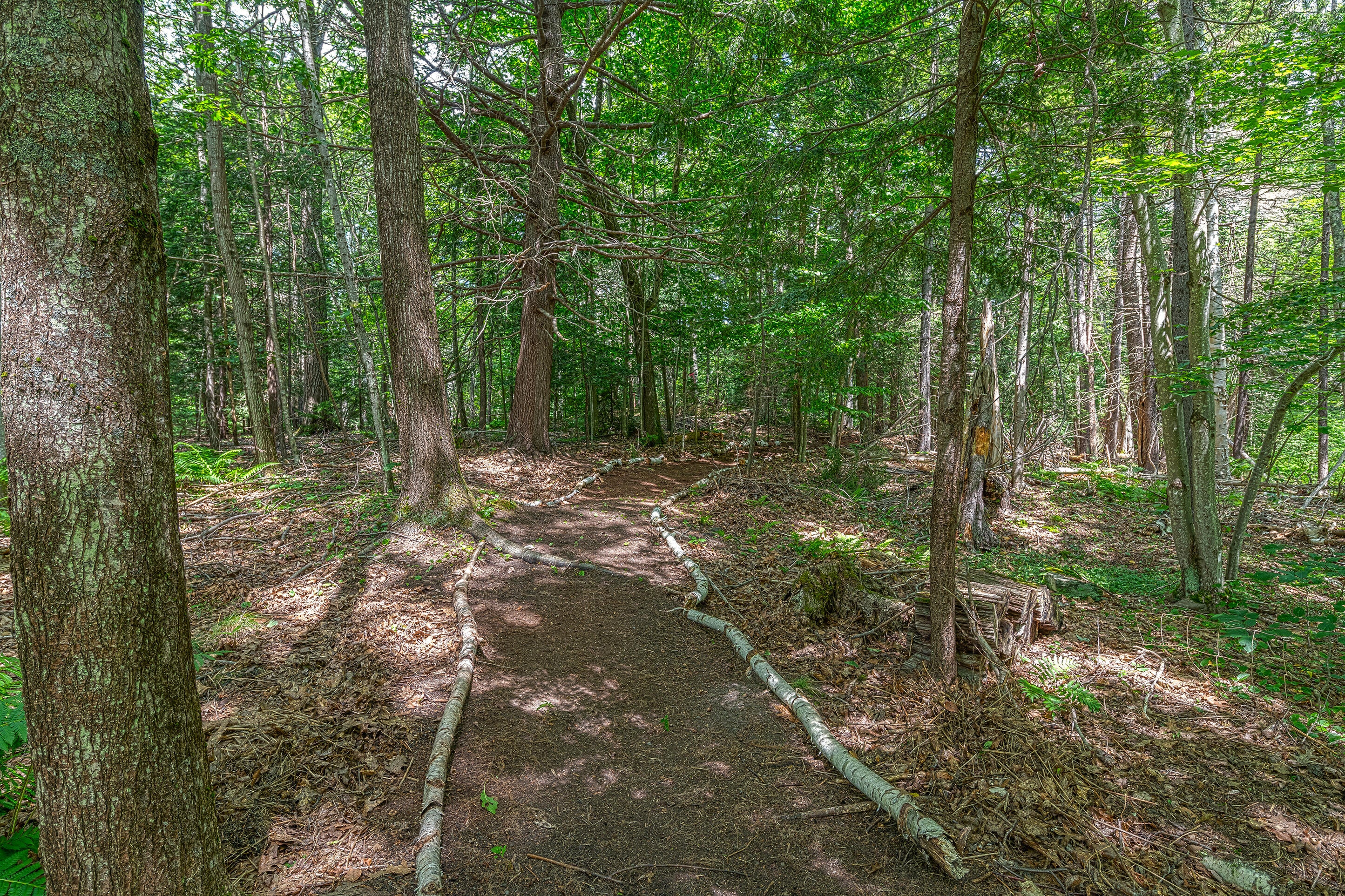 Cape Elizabeth, Maine, 04107, United States, 6 Bedrooms Bedrooms, ,10 BathroomsBathrooms,Residential,Active,1953996