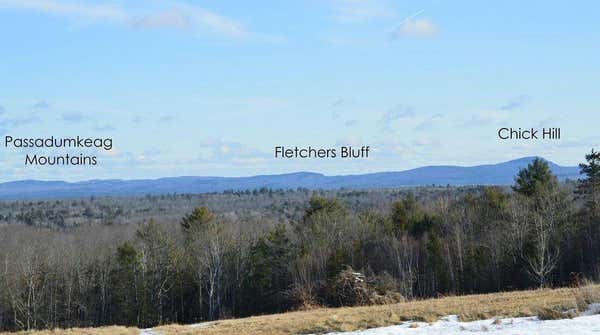 LOT # 30 FOX LANE, EDDINGTON, ME 04428 - Image 1