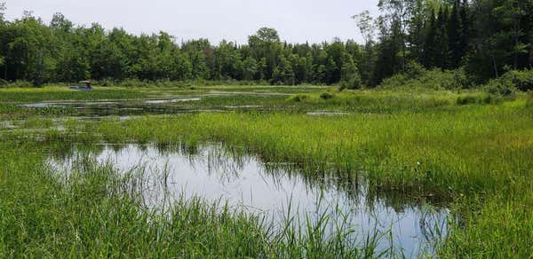 LOT#6 OLD COUNTY ROAD, MILO, ME 04463 - Image 1