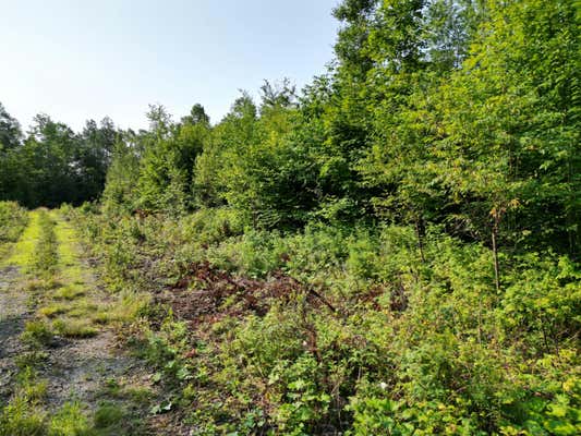 LOT 13 WEST ROAD, SPRINGFIELD, ME 04487 - Image 1