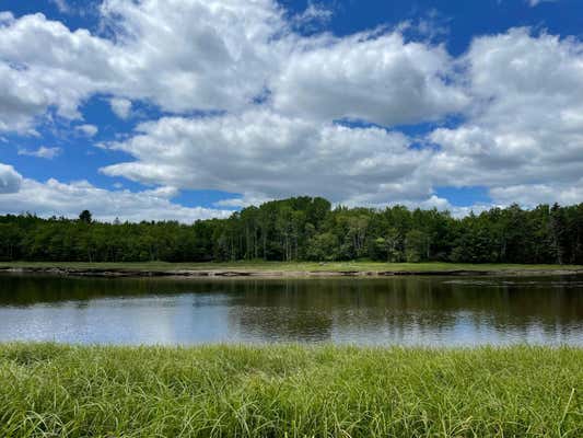 LOT #118 KANSAS ROAD ROAD, MILBRIDGE, ME 04658 - Image 1