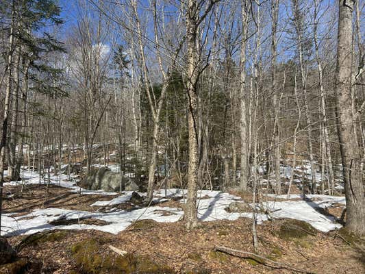 TBD SUNDAY RIVER ROAD, RILEY TWP, ME 04261, photo 4 of 10