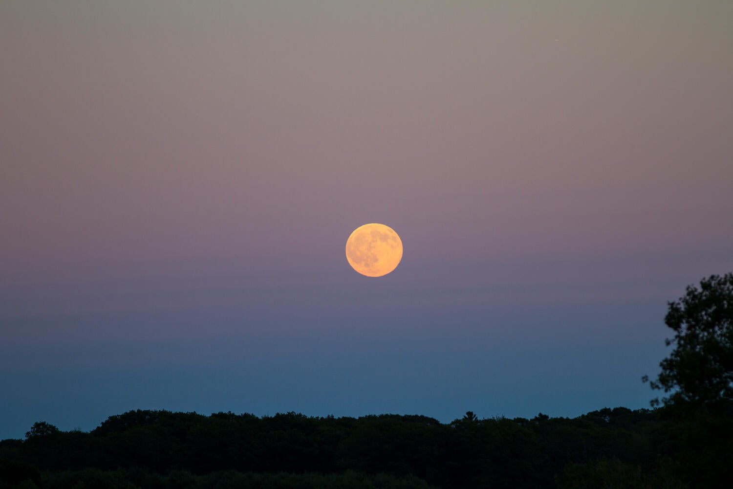 Scarborough, Maine, 04074, United States, 3 Bedrooms Bedrooms, ,3 BathroomsBathrooms,Residential,Active,1781586