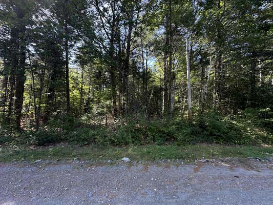 0 DUNDAM ROAD, MILO, ME 04463, photo 4 of 9