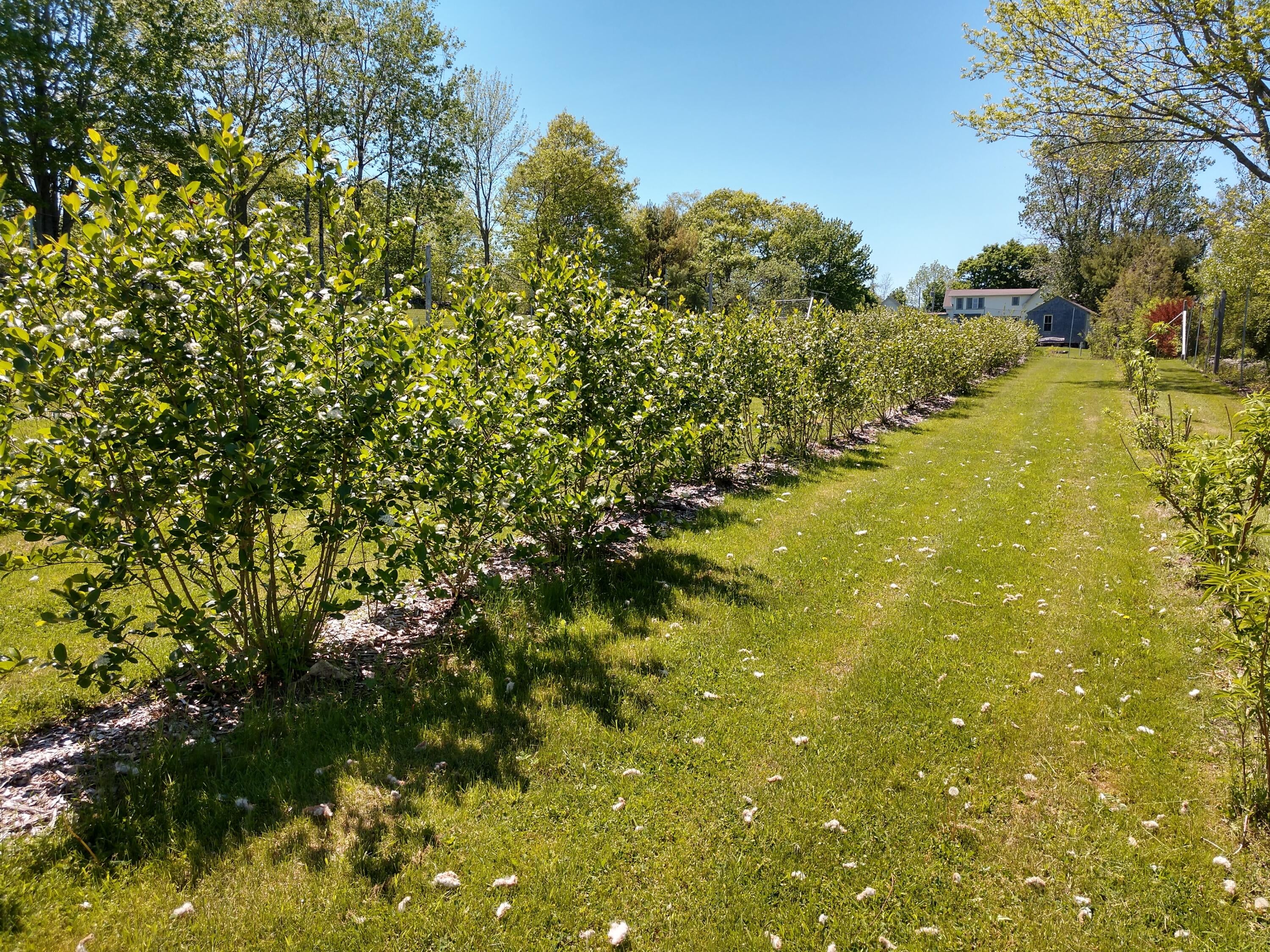 Waldoboro, Maine, 04572, United States, 4 Bedrooms Bedrooms, ,3 BathroomsBathrooms,Residential,Active,2007941