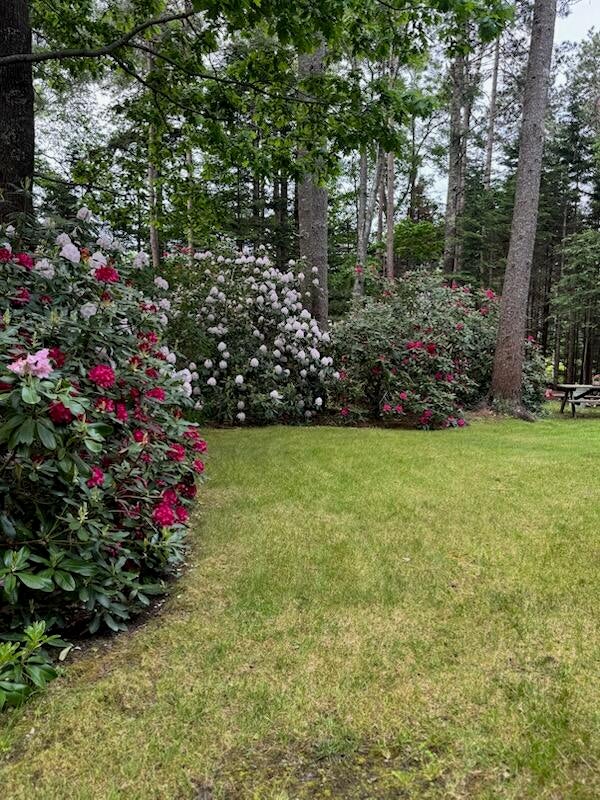 Harpswell, Maine, 04079, United States, 3 Bedrooms Bedrooms, ,2 BathroomsBathrooms,Residential,Active,1913036