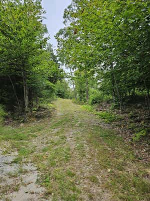 LOT #4 OLD SUMNER ROAD ROAD, BUCKFIELD, ME 04220 - Image 1