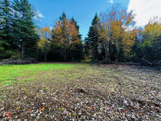 M101 L65-1 LINE ROAD, DEXTER, ME 04930 - Image 1