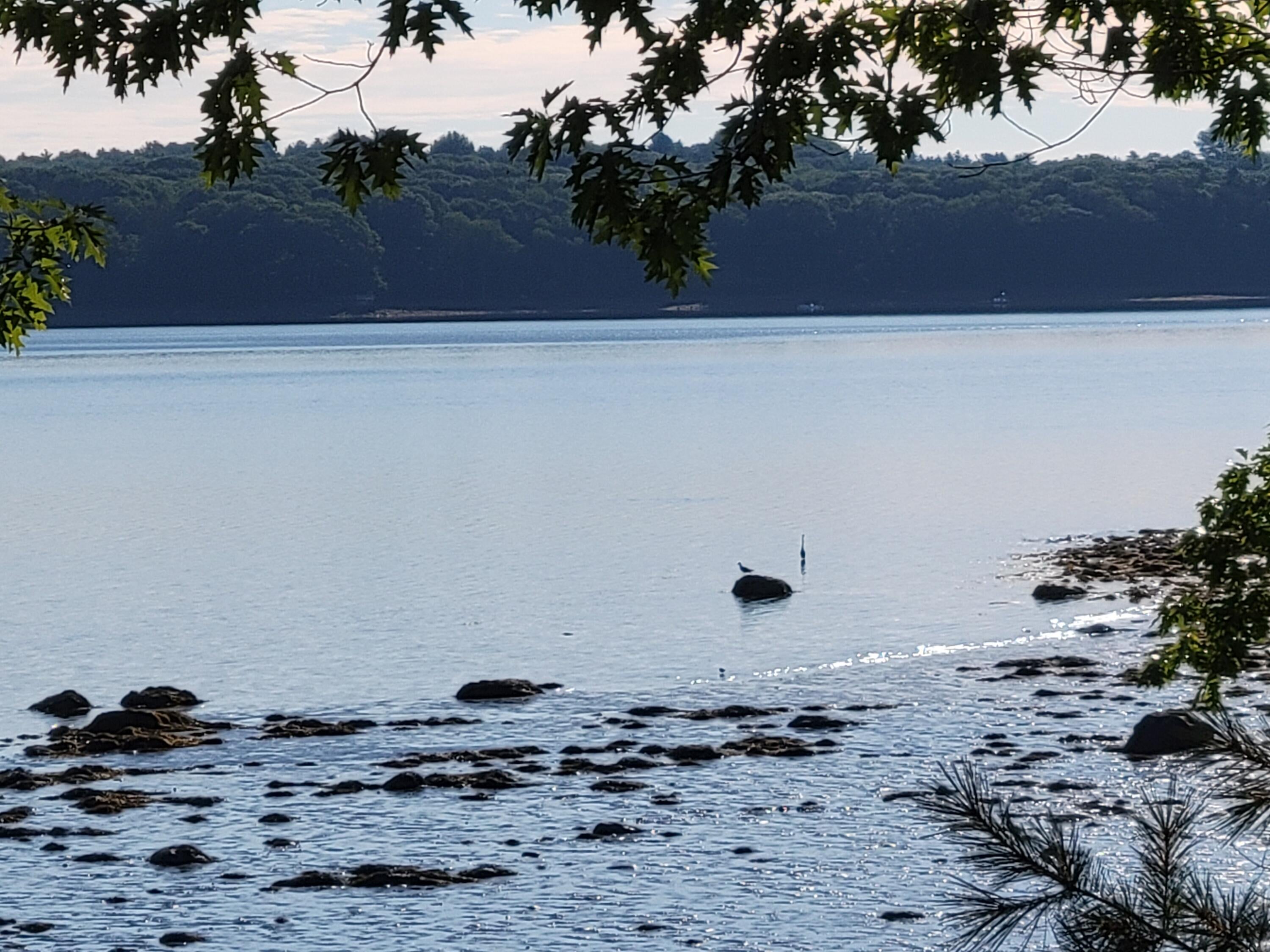 Waldoboro, Maine, 04572, United States, 4 Bedrooms Bedrooms, ,3 BathroomsBathrooms,Residential,Active,2007941