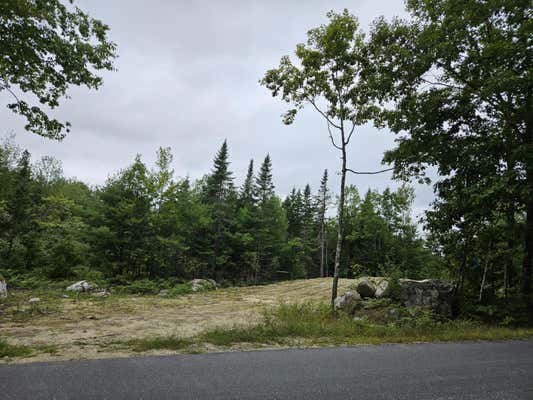 LOT #8 OLD SUMNER ROAD ROAD, BUCKFIELD, ME 04220 - Image 1