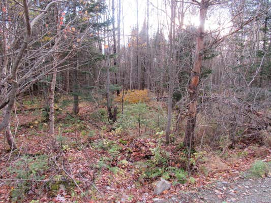 LOT112 LAROCHELLE ROAD, UPPER ENCHANTED TWP, ME 04945 - Image 1