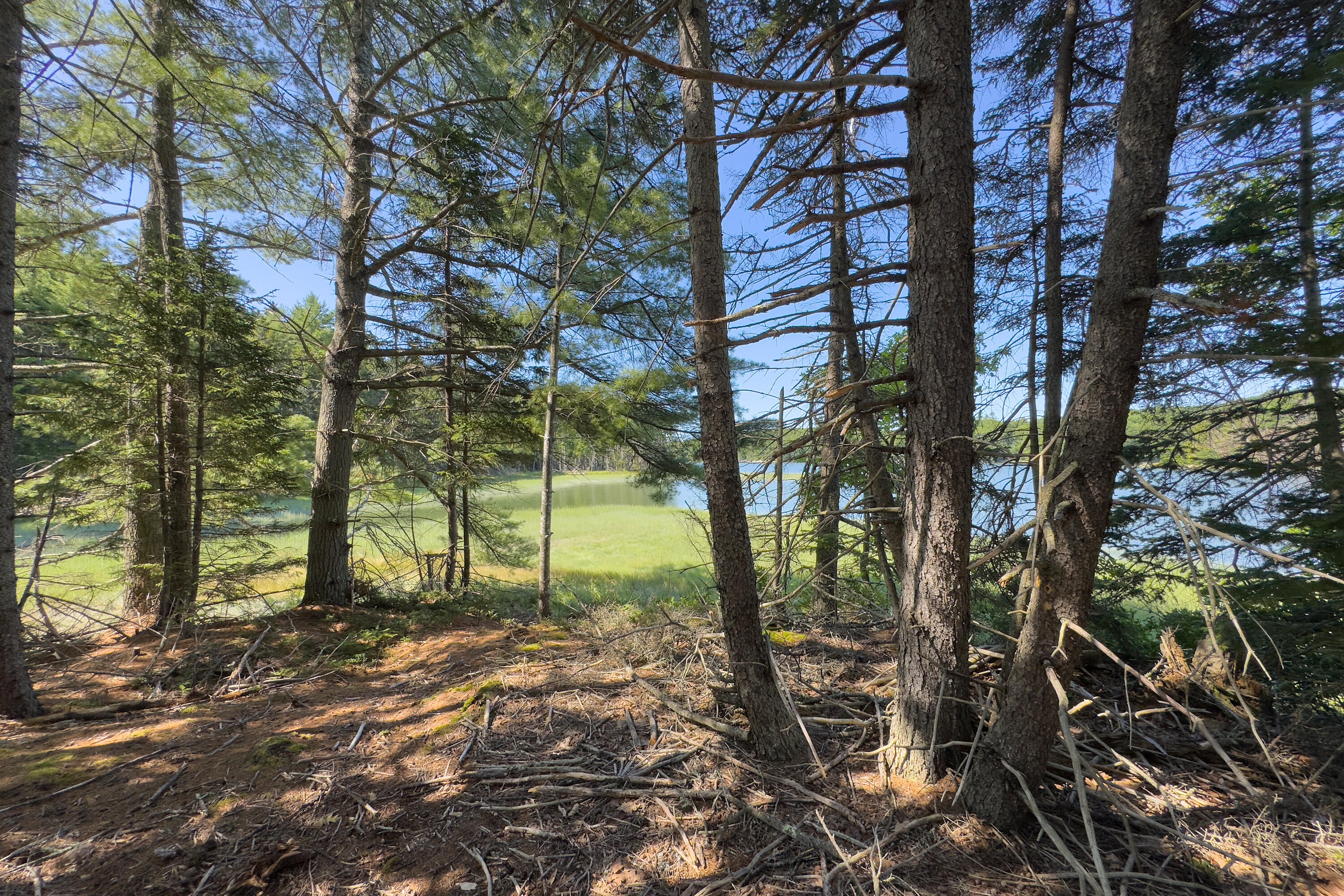 Waldoboro, Maine, 04572, United States, 3 Bedrooms Bedrooms, ,2 BathroomsBathrooms,Residential,Active,1905351