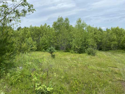 TBD CHANCE LANE, CHERRYFIELD, ME 04622 - Image 1