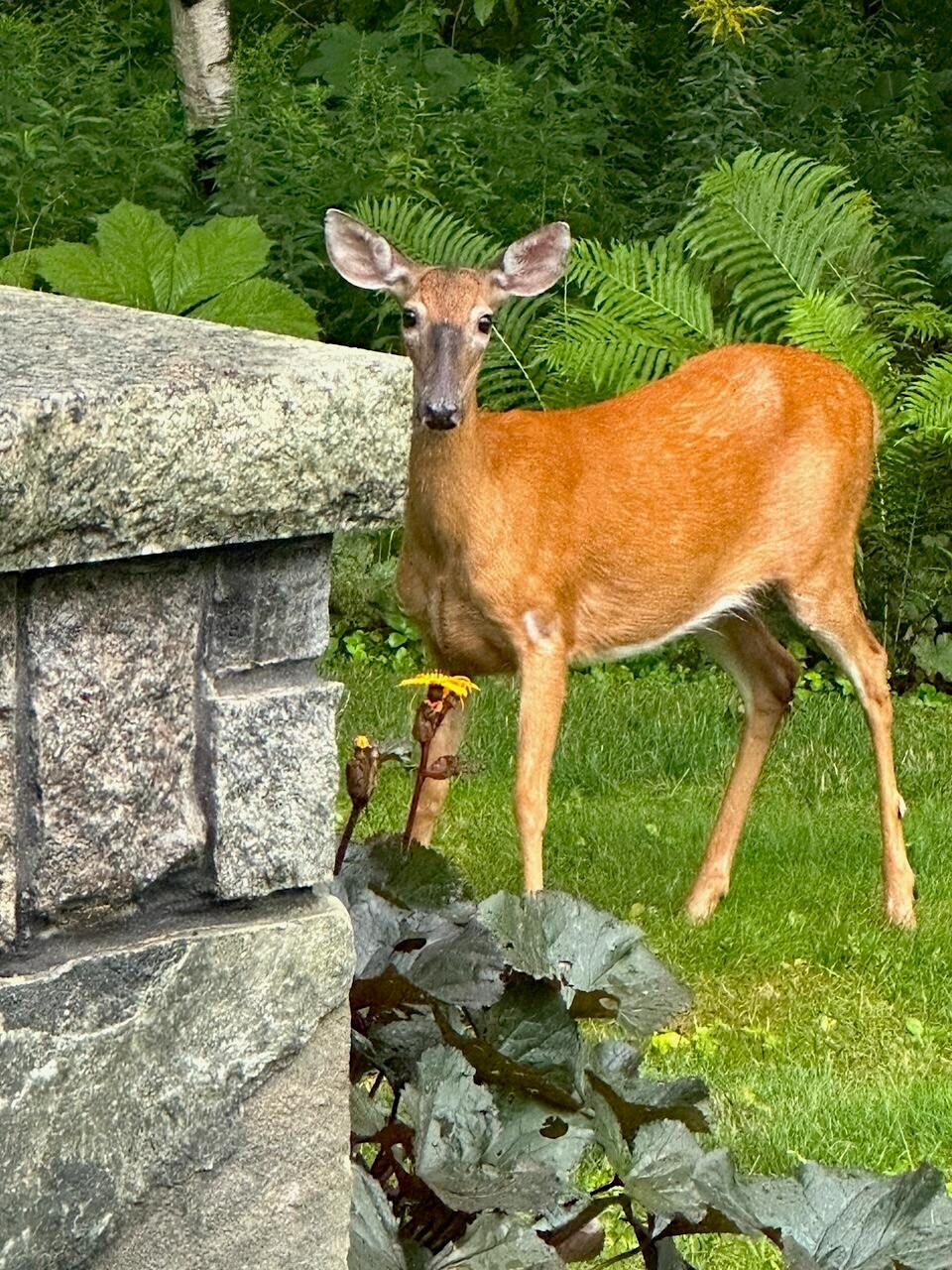 Cape Elizabeth, Maine, 04107, United States, 6 Bedrooms Bedrooms, ,10 BathroomsBathrooms,Residential,Active,1953996