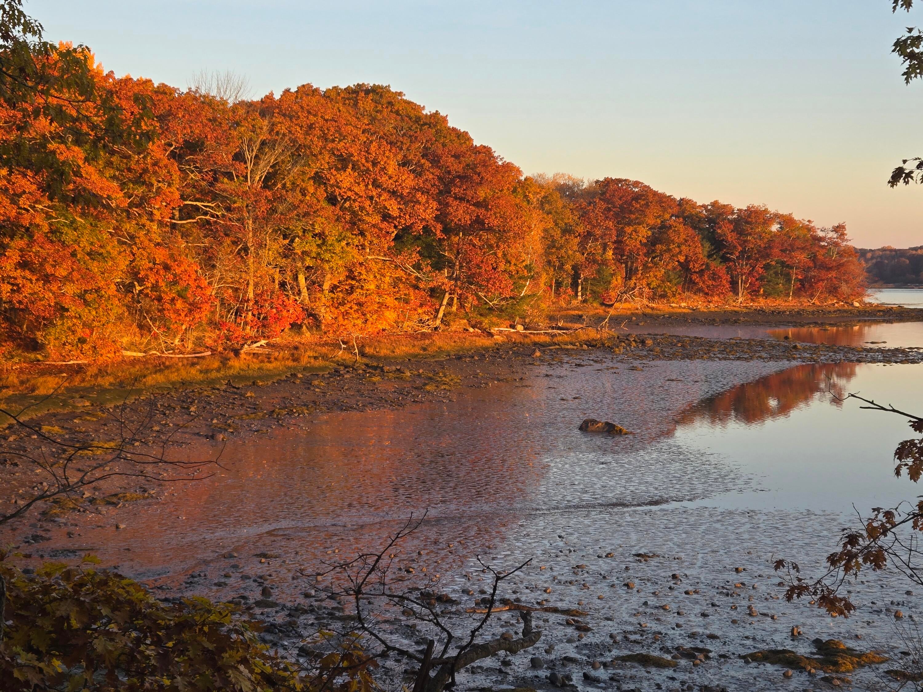 Waldoboro, Maine, 04572, United States, 4 Bedrooms Bedrooms, ,3 BathroomsBathrooms,Residential,Active,2007941