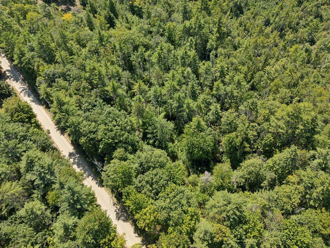 LOT 6 BENSON ROAD, NEWFIELD, ME 04095, photo 1 of 9