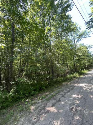 LOT 5 BROOK ROAD, HEBRON, ME 04238, photo 4 of 5