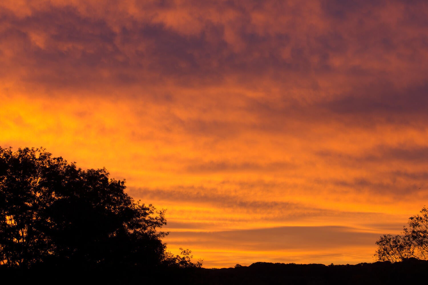 Scarborough, Maine, 04074, United States, 3 Bedrooms Bedrooms, ,3 BathroomsBathrooms,Residential,Active,1781586