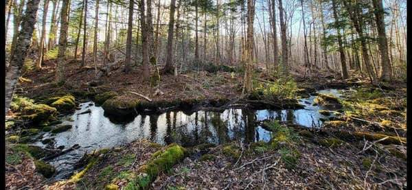 LOT 6 & 7 MORRISON BROOK ROAD, OAKFIELD, ME 04763 - Image 1