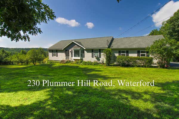 230 PLUMMER HILL RD, WATERFORD, ME 04088 - Image 1