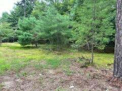 LOT 61.1 SAND POND ROAD, LIMINGTON, ME 04048 - Image 1