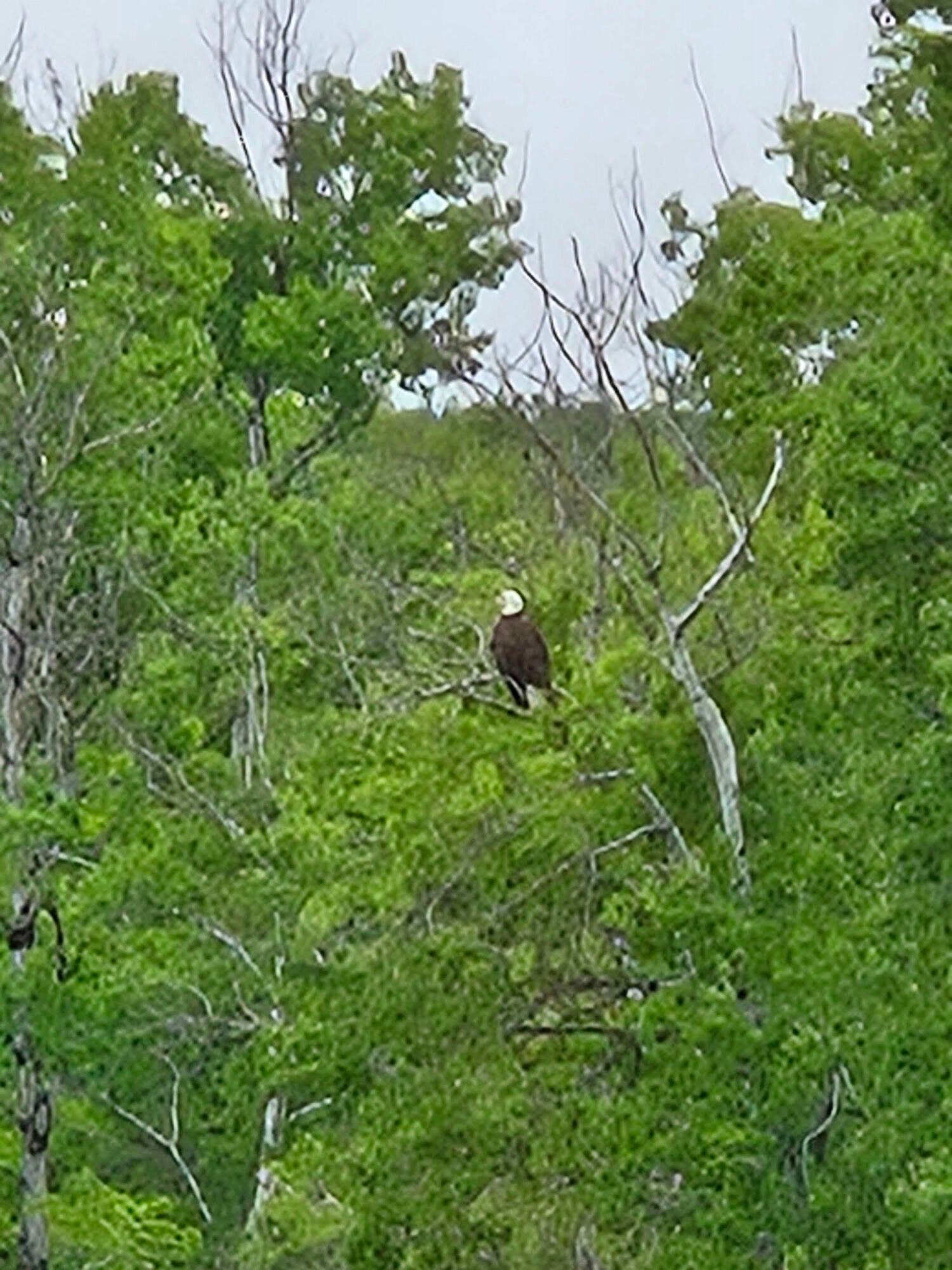 Eagle Lake, Maine, 04739, United States, ,3 BathroomsBathrooms,Residential,Active,1868107