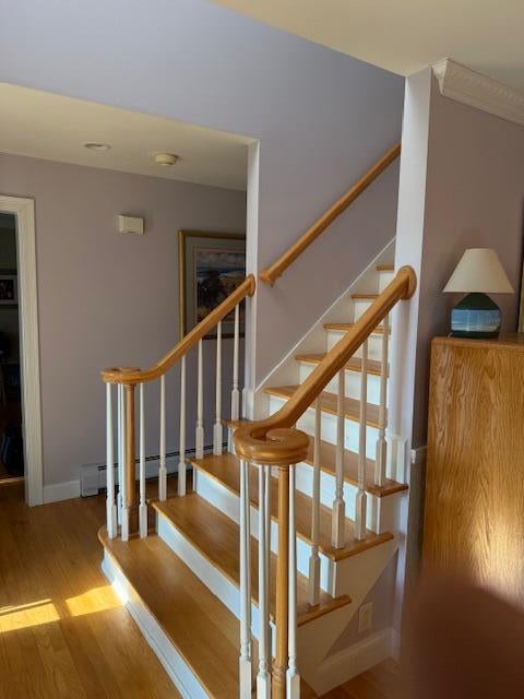 York, Maine, 03909, United States, 3 Bedrooms Bedrooms, ,3 BathroomsBathrooms,Residential,Active,1953001