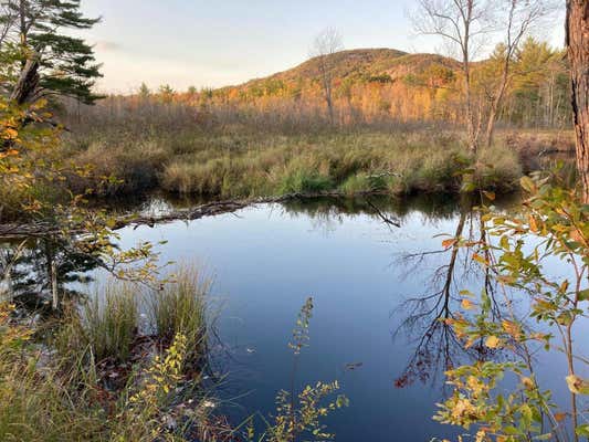 LOT 20E NEZINSCOT MESA, HARTFORD, ME 04220 - Image 1