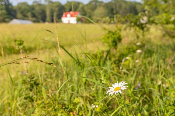 10 AND 11 WOODBURY WAY, VERONA ISLAND, ME 04416 - Image 1