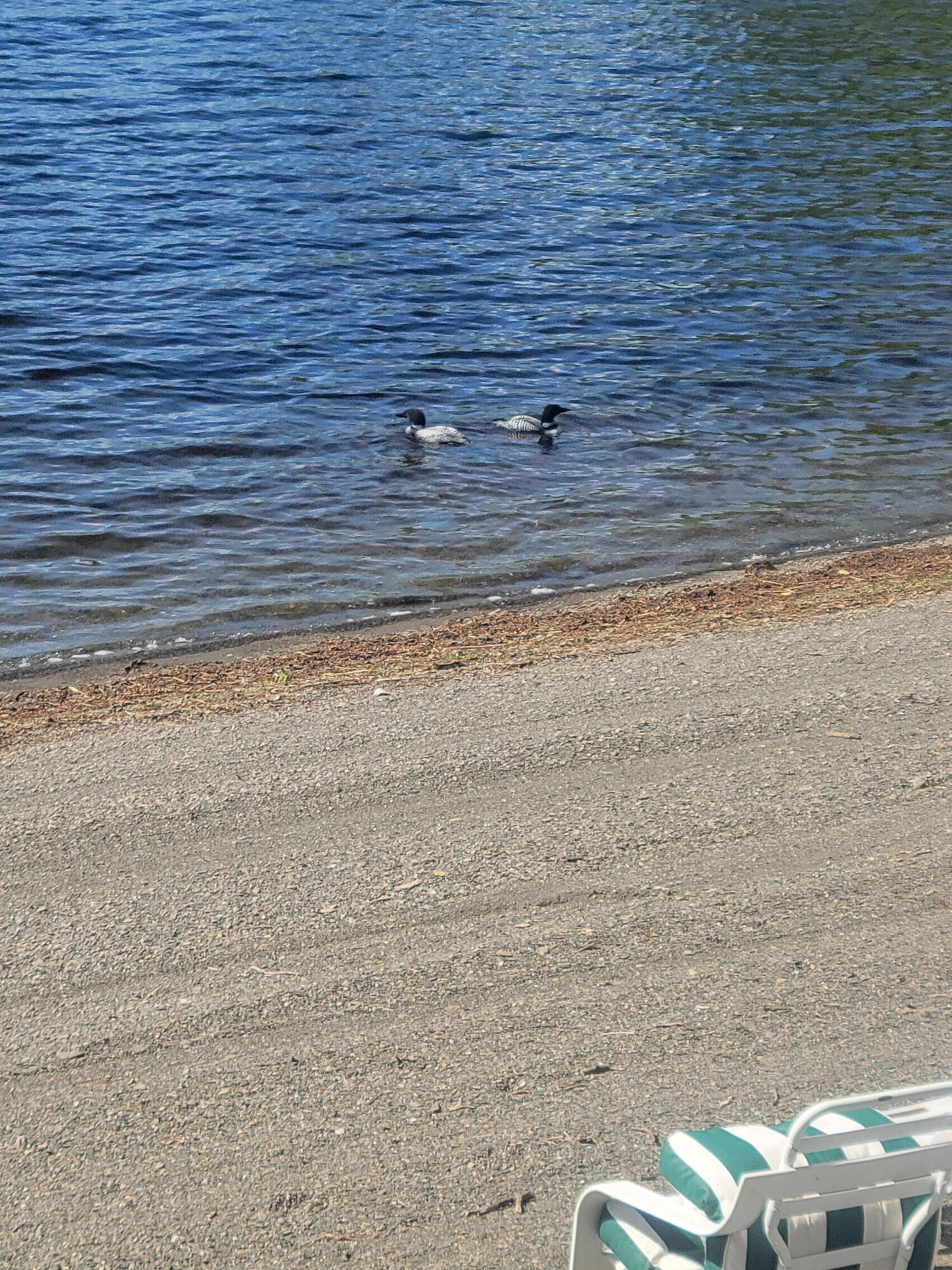 Eagle Lake, Maine, 04739, United States, ,3 BathroomsBathrooms,Residential,Active,1868107