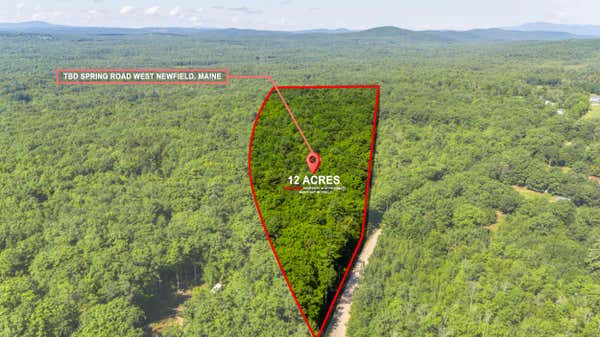 LOT 10 SPRING ROAD, NEWFIELD, ME 04056 - Image 1