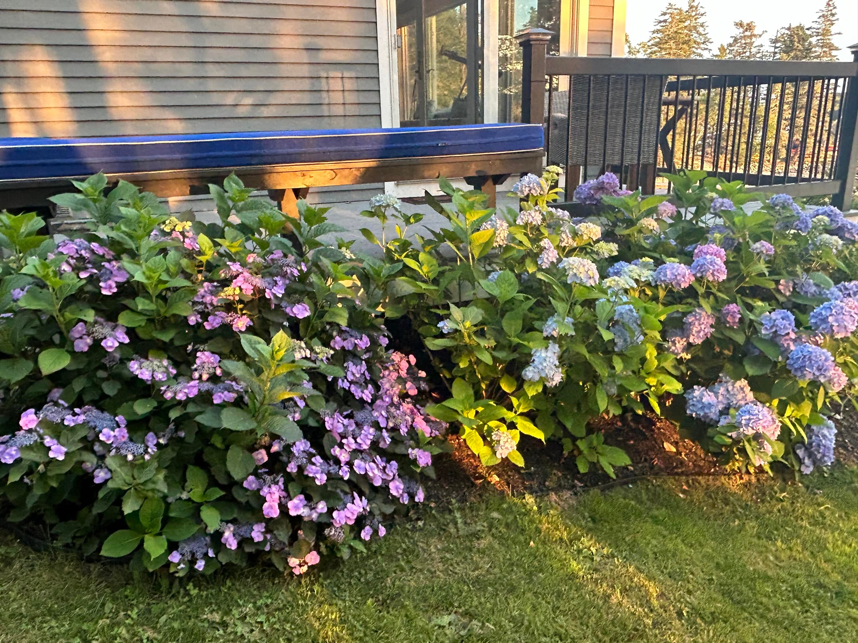 South Thomaston, Maine, 04858, United States, 3 Bedrooms Bedrooms, ,4 BathroomsBathrooms,Residential,Active,1954367