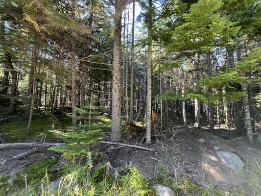 LOT #47 OLD WAGON ROAD, ROQUE BLUFFS, ME 04654 - Image 1