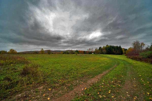 LOT 4A OFF WEBB ROAD, OAKFIELD, ME 04763, photo 5 of 28