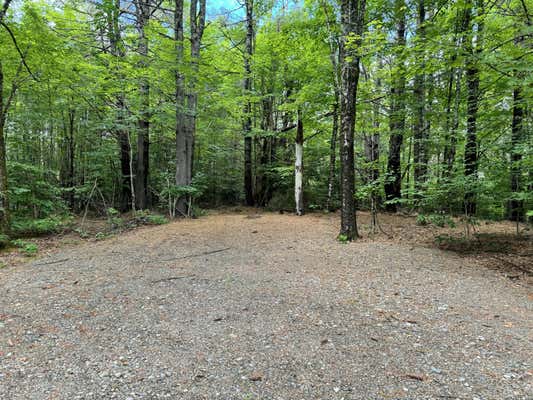 LOT 7-20.2 VILLAGE ROAD, STETSON, ME 04488 - Image 1